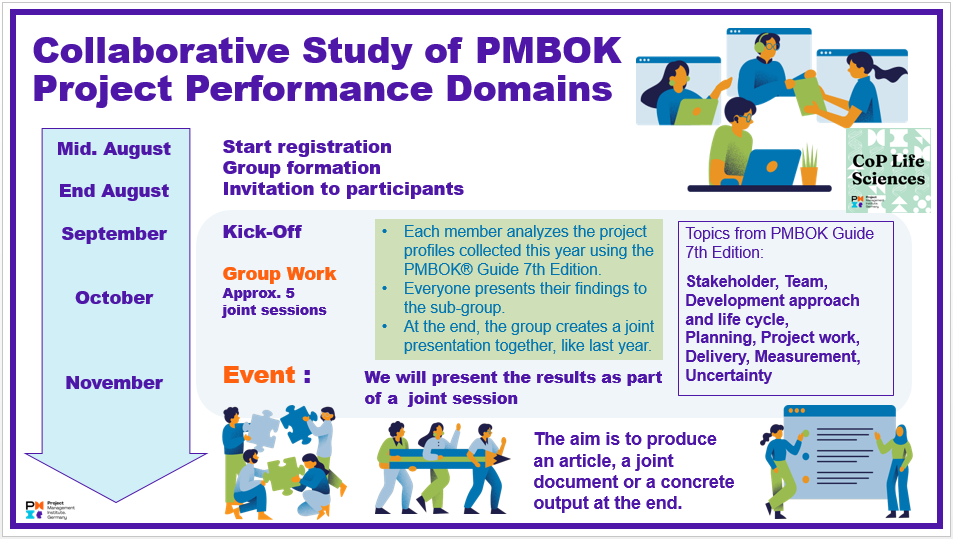 250812 Collaborative Study of PMBOK Project Performance Domains